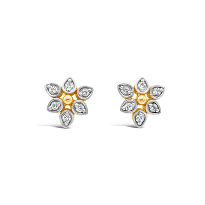 Zircon Studs